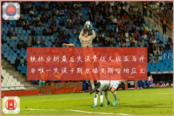铁林分析最后失误责任文班亚马并非唯一失误卡斯尔福克斯哈珀应主动接球