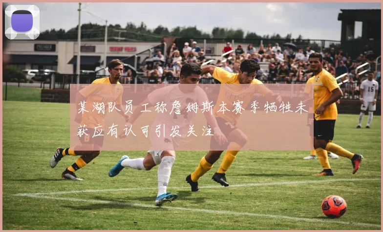 某湖队员工称詹姆斯本赛季牺牲未获应有认可引发关注